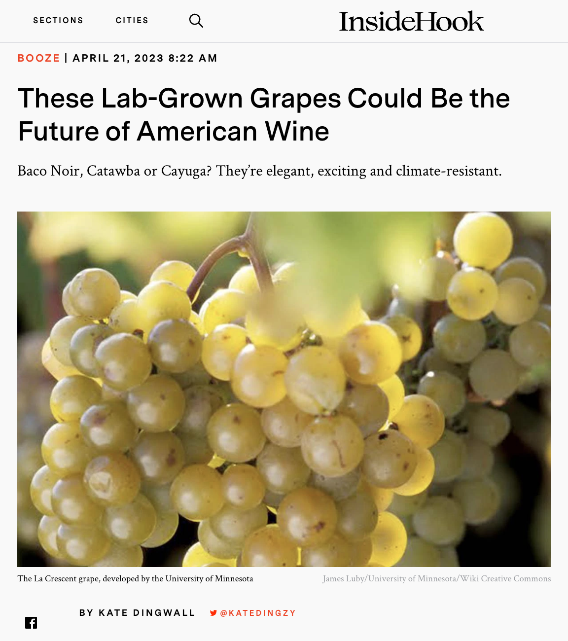 Screenshot of InsideHook article about hybrid grape varieties